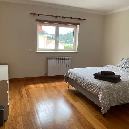 Amazing Scorpion's House